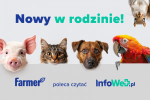 Zagadnienia świata weterynarii w jednym miejscu! Powstał nowy portal InfoWet.pl