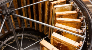 Record honey exports from Ukraine.  The result was twice as high as last year