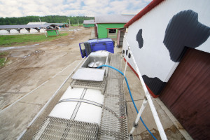 Czy Fundusz Ochrony Rolnictwa zaszkodzi mleczarstwu? Jest apel Dariusza Sapińskiego