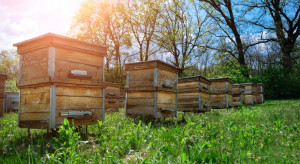 Is a beekeeper obliged to register his apiary with the Veterinary Inspection?  The situation looks clear