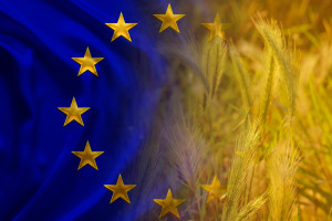 IFP: Wartość dodana w rolnictwie w ciągu dwóch dekad wzrosła z 7 mld euro do ponad 22 mld euro