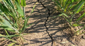 How can farming prevent drought?