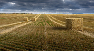 How much will you buy land from KOWR?