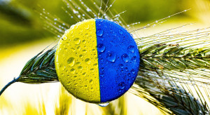 Why does Poland defend itself against imports and Romania demands Ukrainian grain?