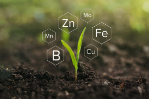 ASX Complex - doskonałe źródło mikroelementów dla roślin uprawnych