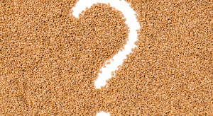 What's happening on the Polish market?  In a moment, the Germans will bring us wheat