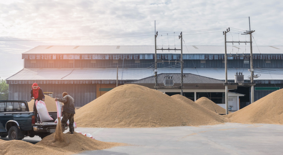 Terminal zbożowy w Szczecinie do sprzedania. Niemcy przejmą biznes? - Zboża