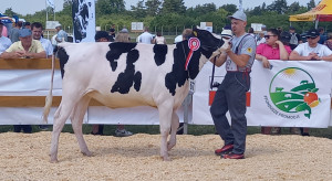 What is important for Polish cattle breeders?