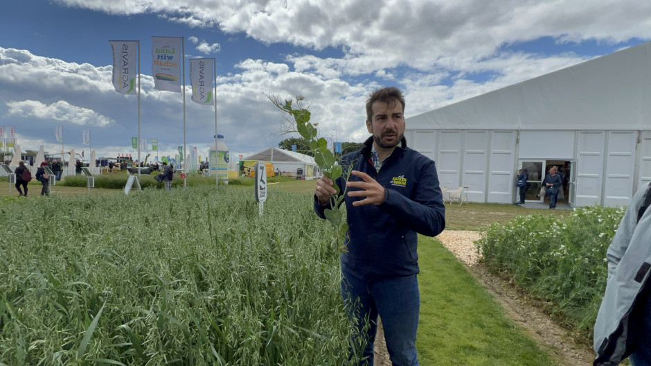 Tomasz Szymański from Saaten-Union (Product Manager for conventional cereals), also discussed the varieties of peas and field beans, including winter forms of this species. Photo.  AK