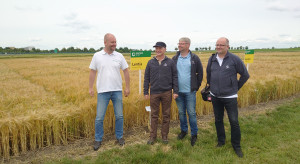 Day of rapeseed and Saatbau cereals on plots in Poświatne