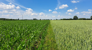 Changing the definition of eligible hectare.  It is necessary for farmers to receive subsidies