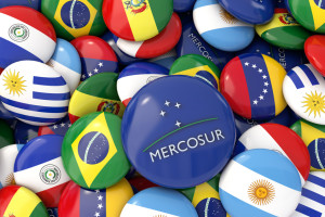 Mercosur. O ile zmniejszy się produkcja i ceny wołowiny w UE?