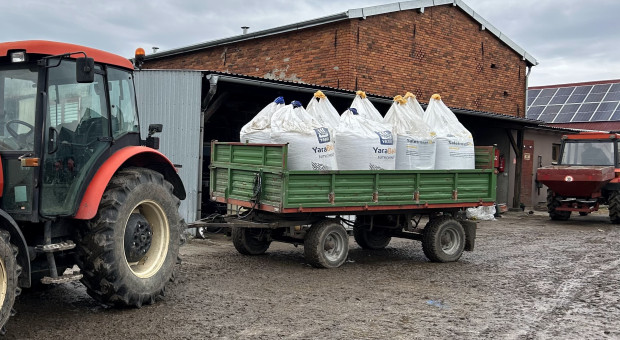 Ile trzeba dziś zapłacić za nawozy fosforowe i potasowe?