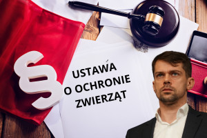 Ustawa łańcuchowa będzie nadal procedowana. Rolnicy alarmują, a wiceminister wstrzymuje się od głosu