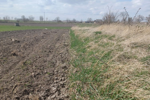 Dopłaty do ugorowania będą rozszerzone. Za co rolnik dostanie więcej pieniędzy?