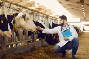 Obowiązkowe szkolenie dla rolników z zakresu metod ograniczających stosowanie antybiotyków w produkcji zwierzęcej