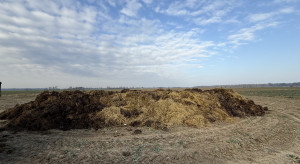 Składowanie obornika na polu. Co mówią przepisy?