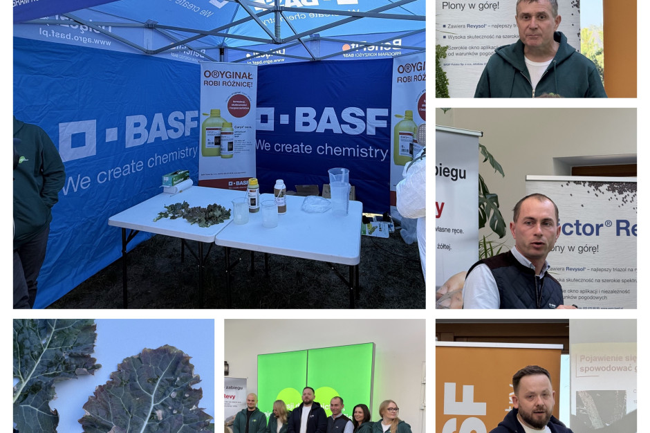 Jakie rozwiązania proponuje BASF w rzepaku i zbożach na wiosnę 2025?
