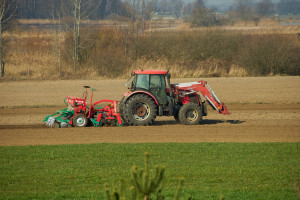 Kalendarz zasiewów 2025. Zobacz, co siać na polach w marcu