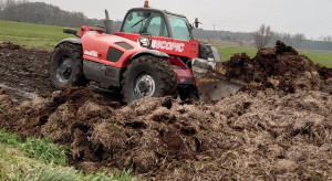Ile kosztuje obornik w kwietniu 2026? Który jest najlepszy?