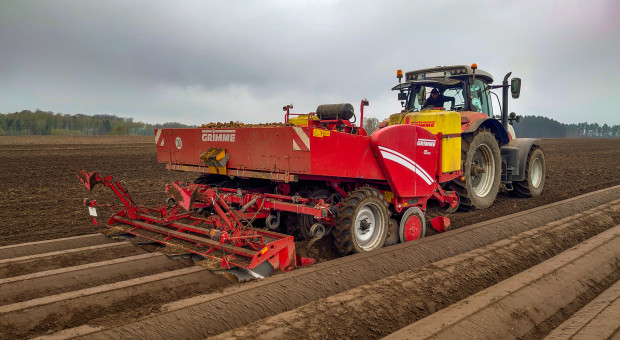 To ostatnia szansa, by kryzys ziemniaczany nie pogłębił się w kolejnym sezonie