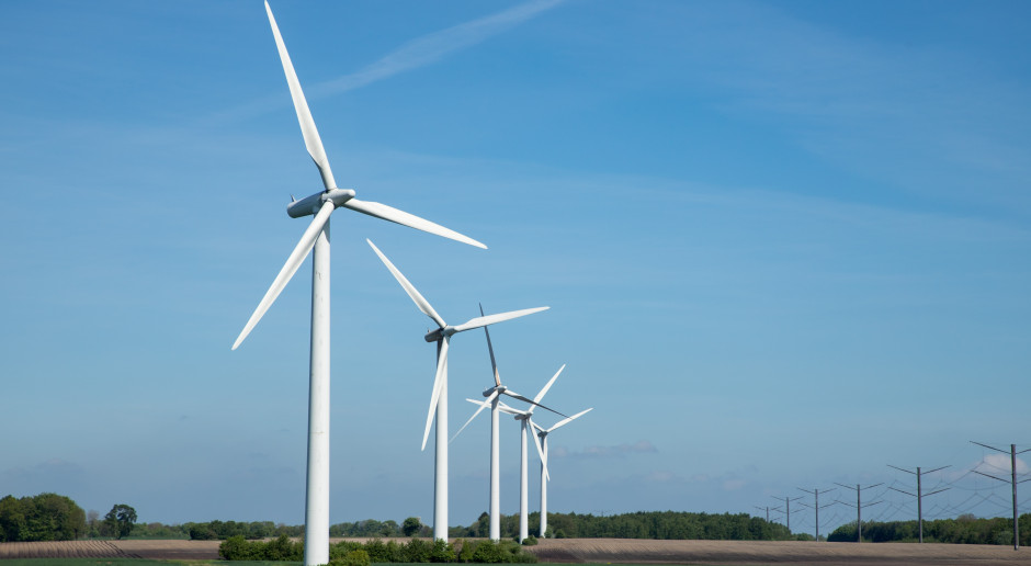Tyle możesz zarobić na dzierżawie gruntów pod farmę wiatrową. Oto stawki - OZE