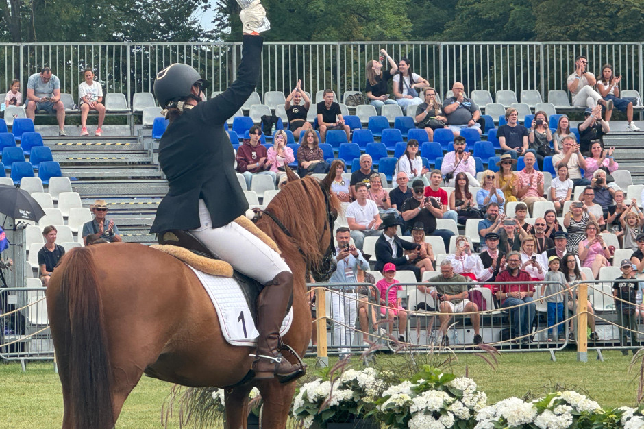 Controversy surrounding the costs of the Pride of Poland horse auction