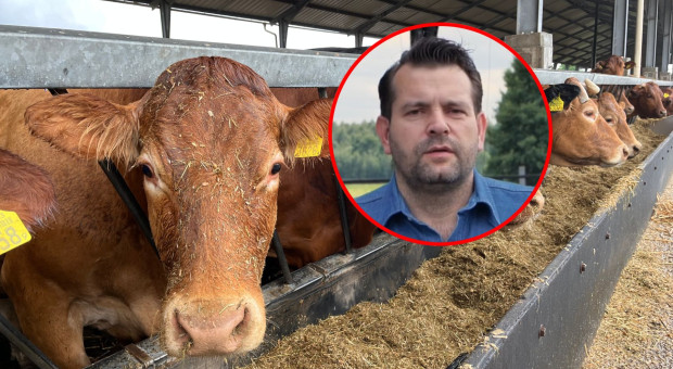 Rolnik chce mieć własną markę. To jest w Polsce rzadkością