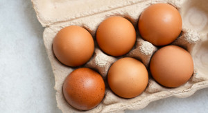 Będą podwyżki cen jaj? Nie da się przewidzieć jak duża będzie skala