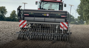 Siać jeszcze pszenicę ozimą? Kiedy termin siewu przewódki?