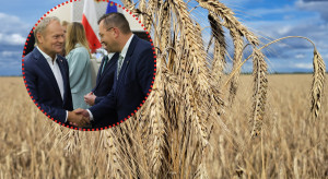 Rolnicy domagają się od ministra rolnictwa 200 zł dopłaty do każdej tony zboża