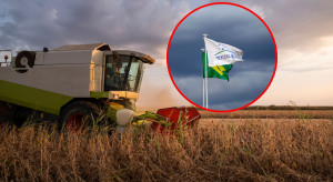Tylko dwa polskie produkty chronione w umowie Mercosur
