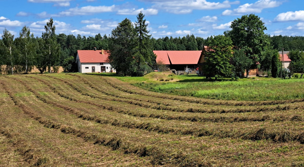 Ilu rolników złożyło wnioski o dopłaty w tym roku? Jaka jest nowa średnia wielkość gospodarstwa w Polsce?