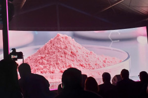 Rewolucja. W Lidzbarku Warmińskim będą produkować "r&oacute;żowe złoto"