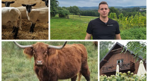 Bydło szkockie, owce, ryby, przetw&oacute;rstwo, restauracja. A to wszystko u jednego rolnika