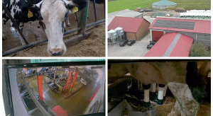 Trzy roboty, 60 kr&oacute;w i pełna kontrola nad stadem. Zobacz, jakie efekty daje optymalizacja w tym gospodarstwie