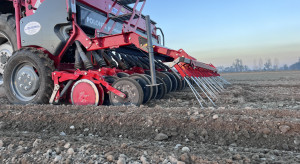 Udany siew zbóż jarych. Te parametry mają znaczenie