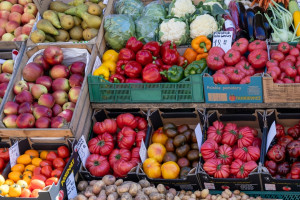 Petycja trafiła do prezydenta Ciężka sytuacja na rynku warzyw. Będą minimalne ceny skupu?