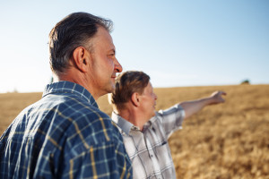 W siedmiu województwach statystyczny rolnik to milioner. Ale tylko na papierze Rolnicy milionerzy? Tylko na papierze. Ziemia droższa niż mieszkanie w Sopocie, ale rzeczywistość to weryfikuje