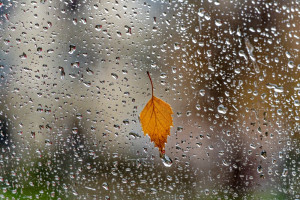 W najbliższych dniach nie ma szans na poprawę pogody Brak szans na poprawę pogody. Będzie pochmurnie i deszczowo