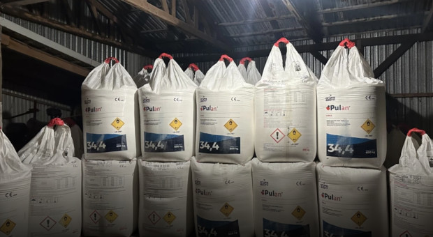 Kupić nawóz czy czekać? Sprawdzamy, jak było w poprzednich latach na przełomie grudnia i stycznia