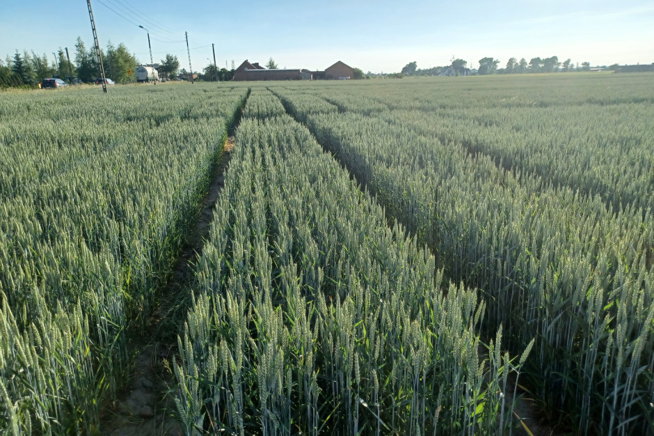 ACTIV by APHEA bio® w Polsce: wyższe plony i mniejsze zużycie nawozów w ...