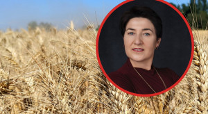 Jasińska: Wreszcie pojawia się konkretna propozycja dla producentów zbóż. Chodzi o nowe rynki eksportowe