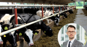 Hodowla bydła na NWwR: Jak przygotować się do zmian w mleczarstwie?