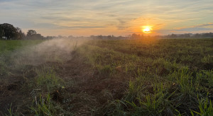 Obornik pod rzepak. O ile można zmniejszyć dawki nawozów?