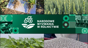 Sztuka optymalizacji w produkcji roślinnej. Jak przetrwać w trudnych czasach rynkowych?