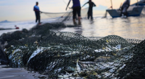 liczymy na wyższe kwoty połowowe na Bałtyku w 2026 r.