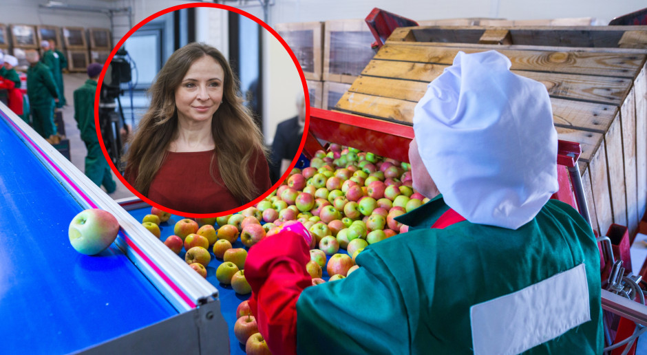 Tąpnięcie w umowach o pracę. Przepisy wchodzą z mocą wsteczną. Rewolucja dla milionów Polaków