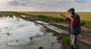 Nawet 3000 zł do hektara. Można już składać wnioski o pomoc klęskową