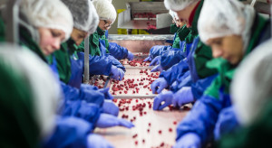 Koniec 26 dni urlopu na rok. Zmiany dla milionów Polaków